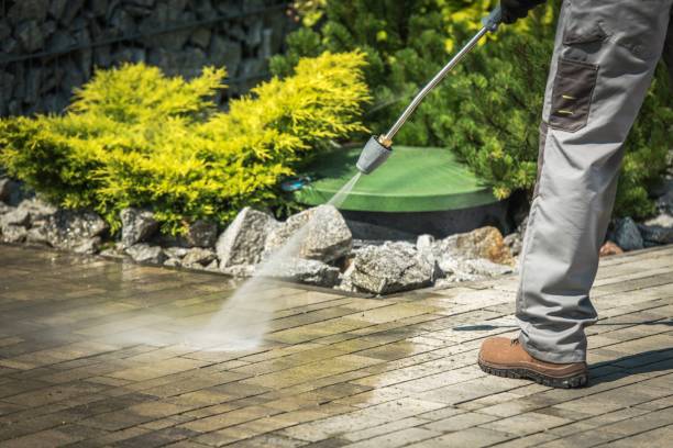 Best Solar Panel Cleaning  in Tremonton, UT